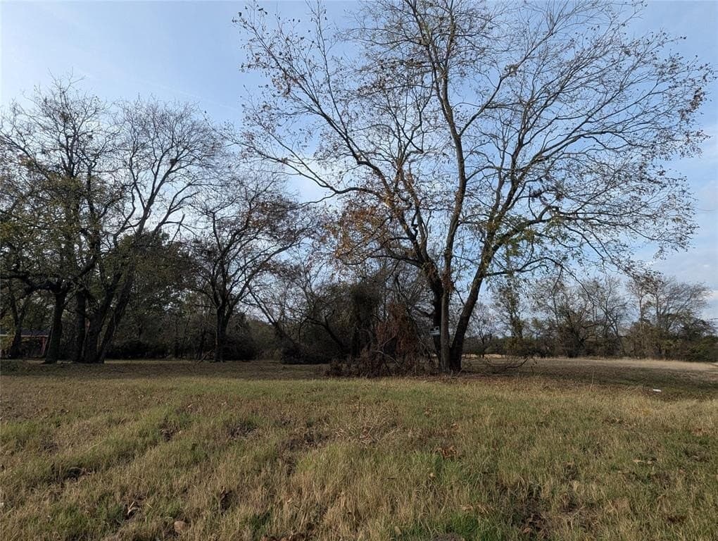0.31 acres in Fannin County - photo 5