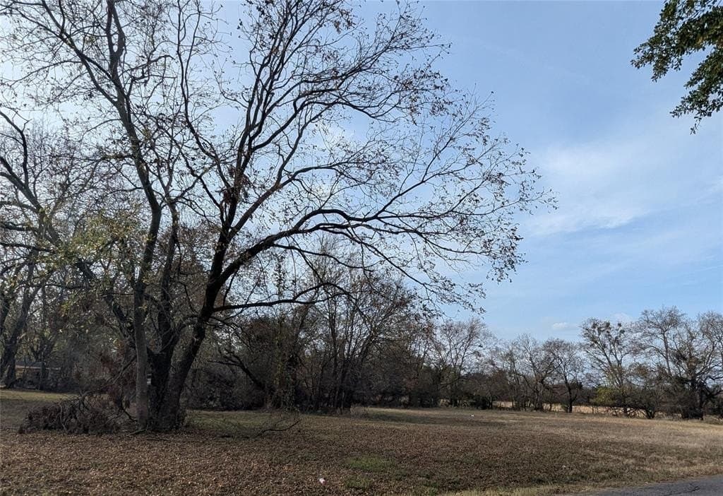 0.31 acres in Fannin County - photo 9