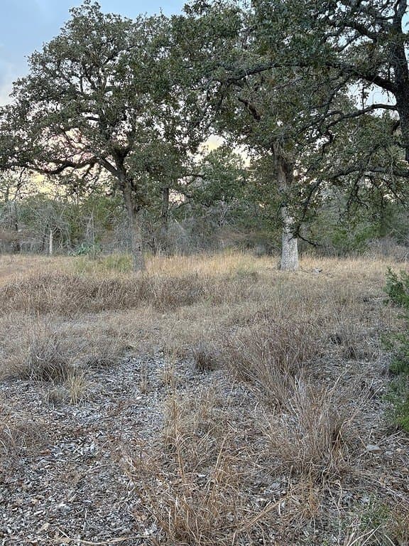 0.56 acres in Fayette County - photo 7