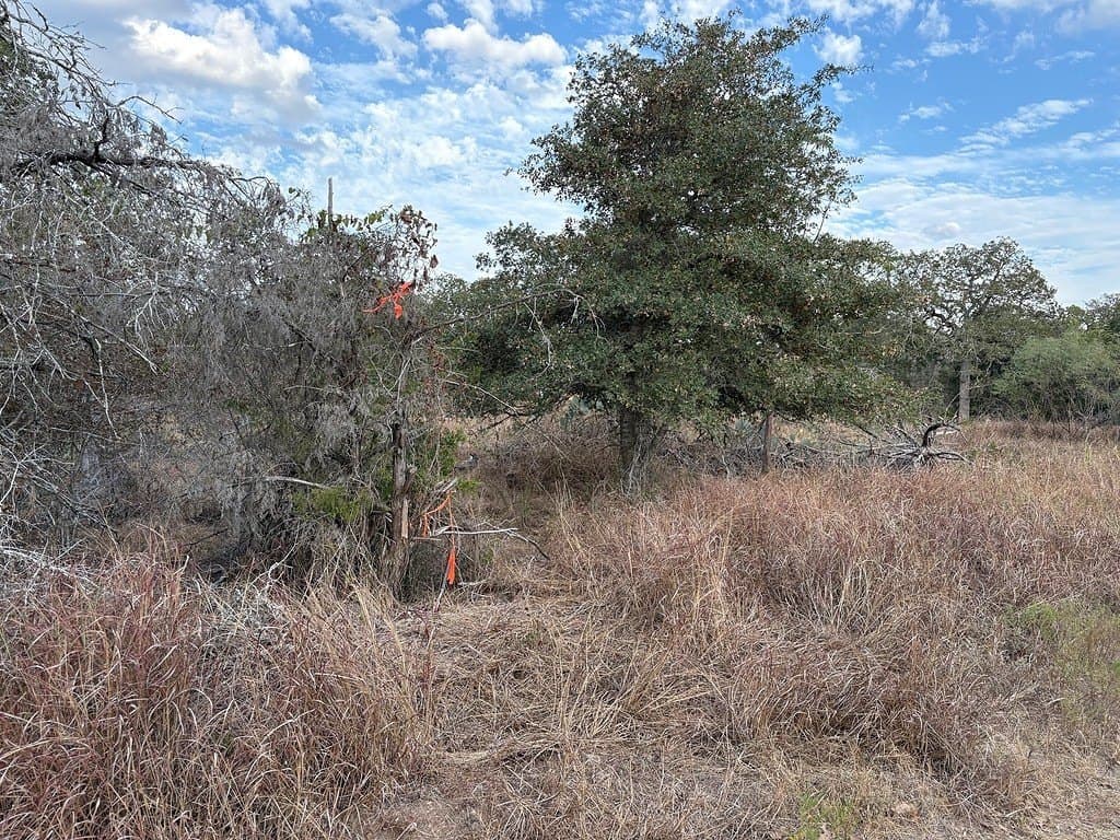 0.56 acres in Fayette County - photo 2