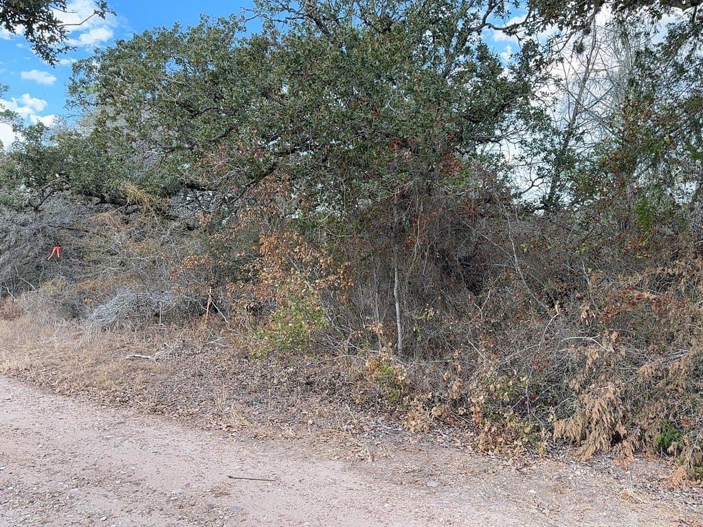 0.56 acres in Fayette County - photo 3