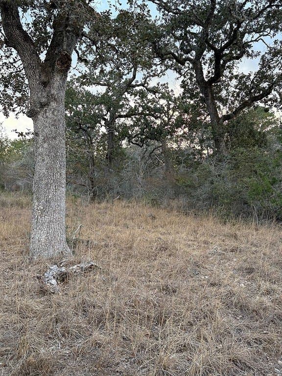 0.56 acres in Fayette County - photo 9