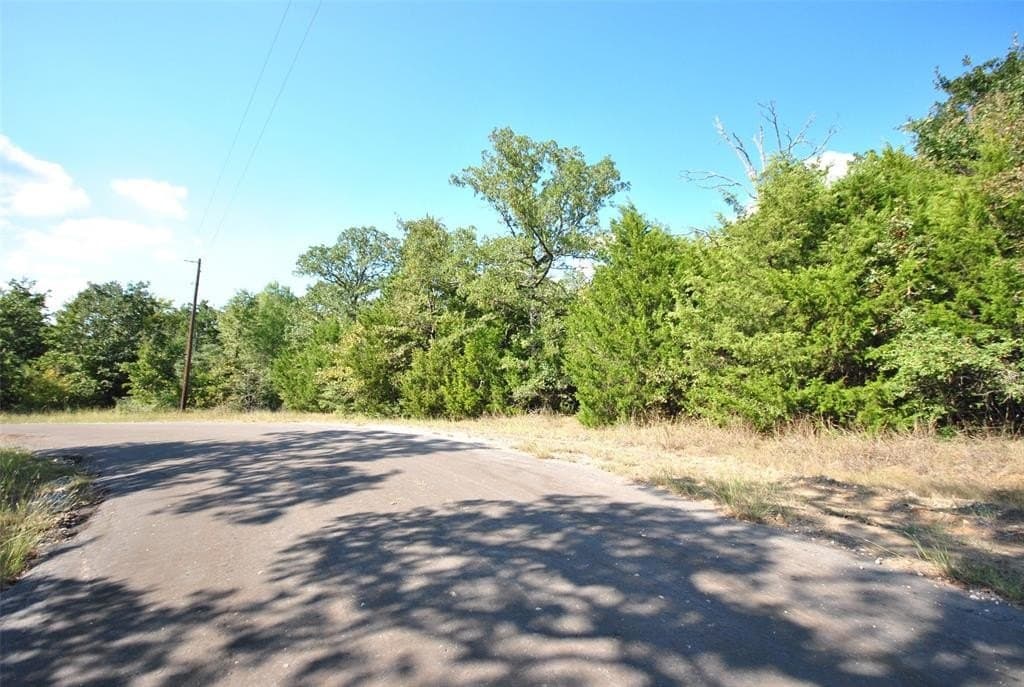 0.74 acres in Limestone County - photo 9