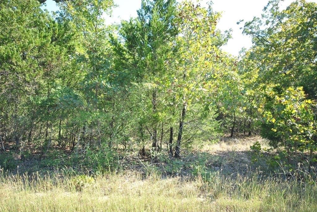 0.74 acres in Limestone County - photo 2