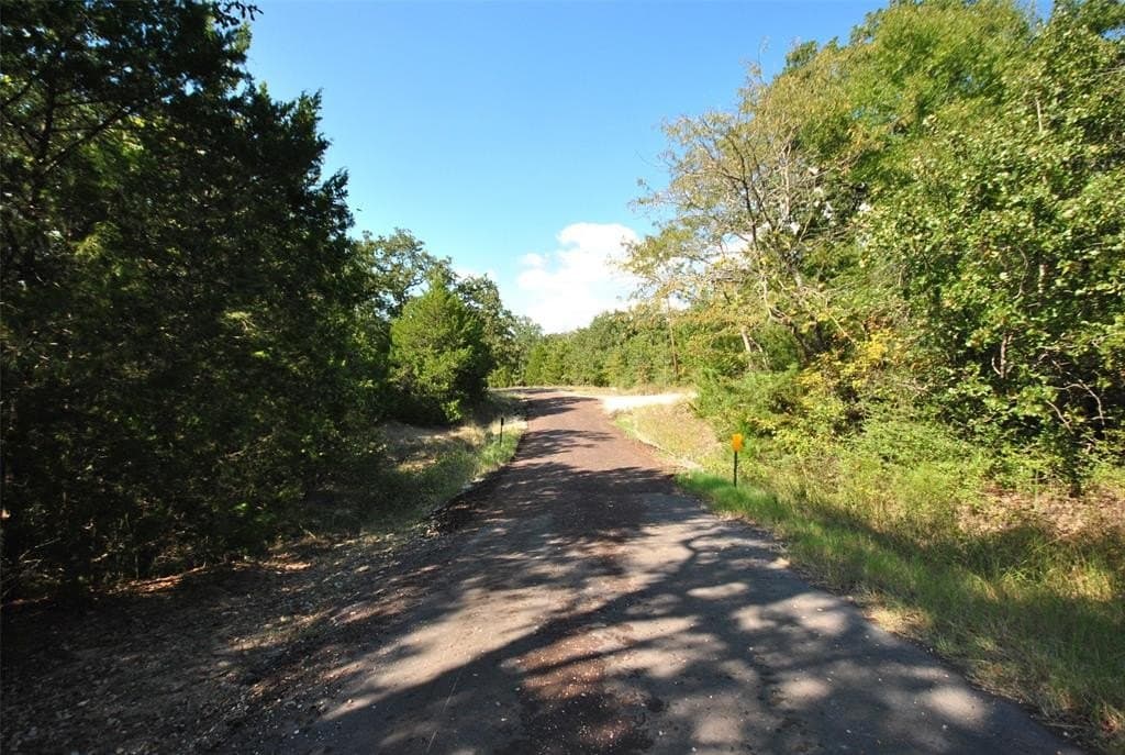 0.74 acres in Limestone County - photo 7