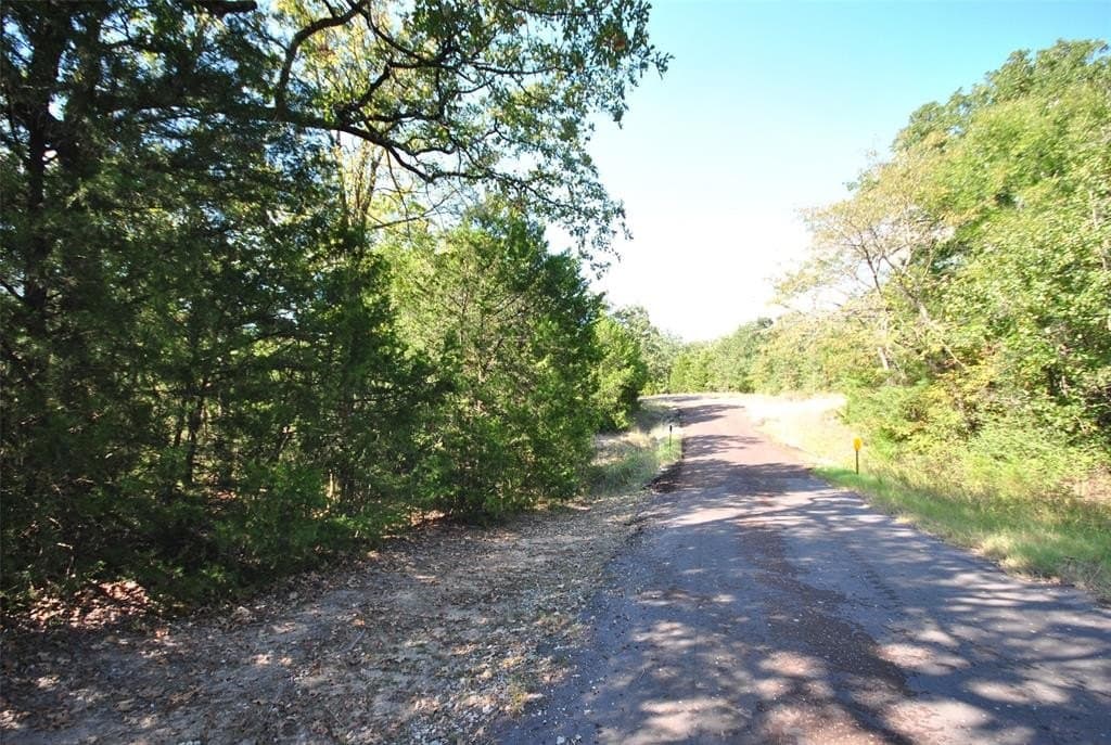 0.74 acres in Limestone County - photo 6