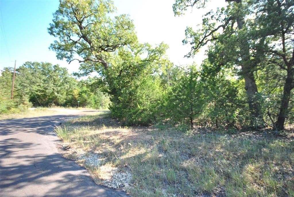 0.74 acres in Limestone County - photo 4