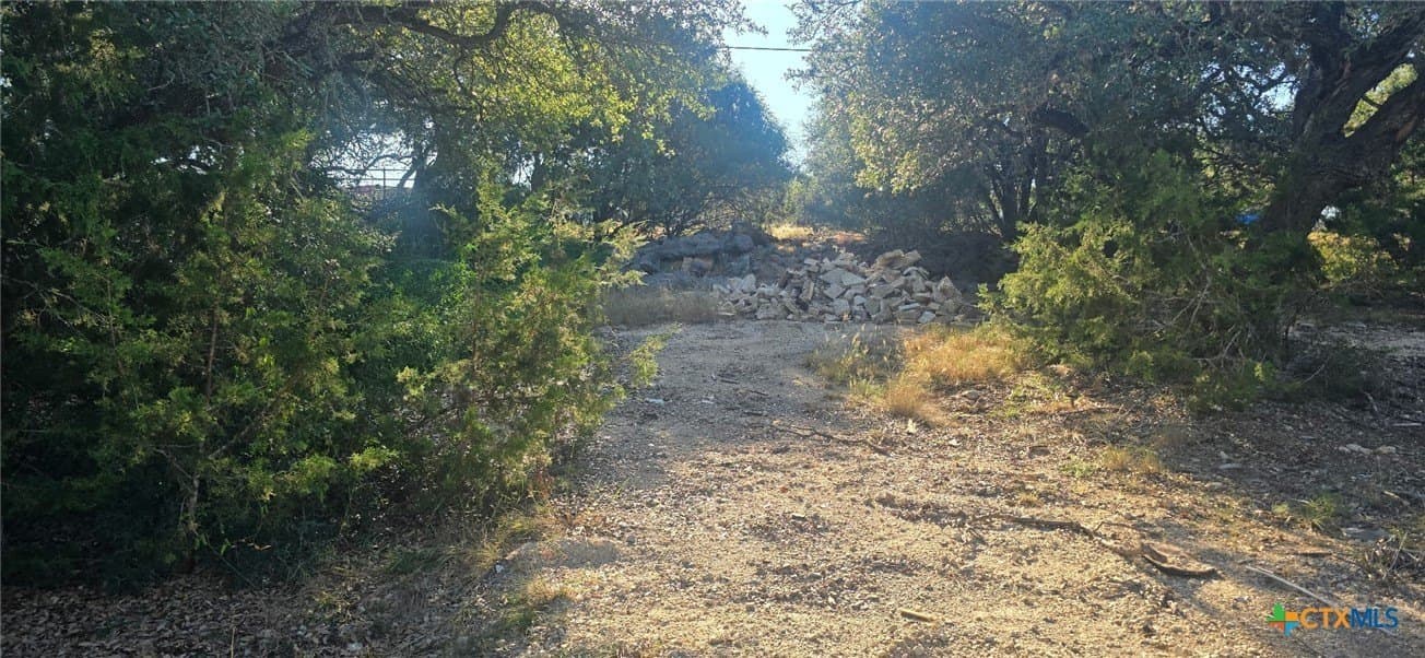 0.23 acres in Comal County - photo 3