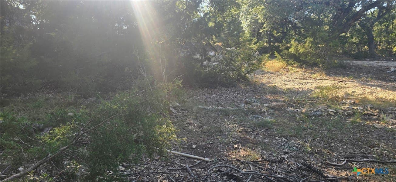 0.23 acres in Comal County - photo 4