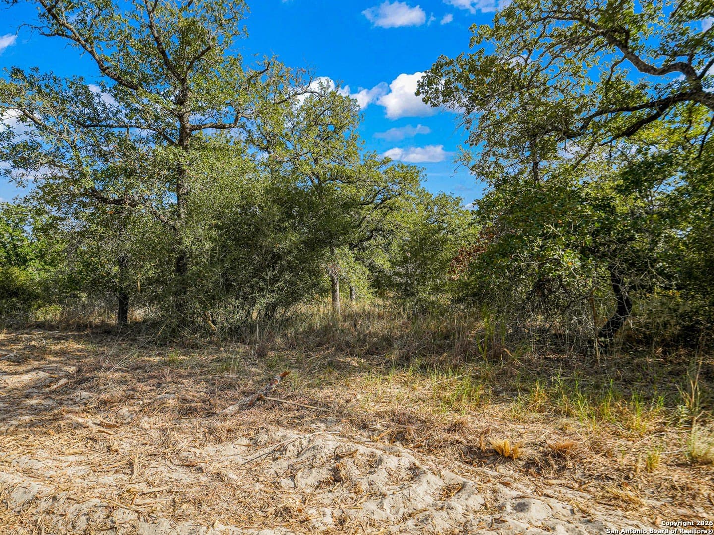 10.03 acres in Guadalupe County - photo 12