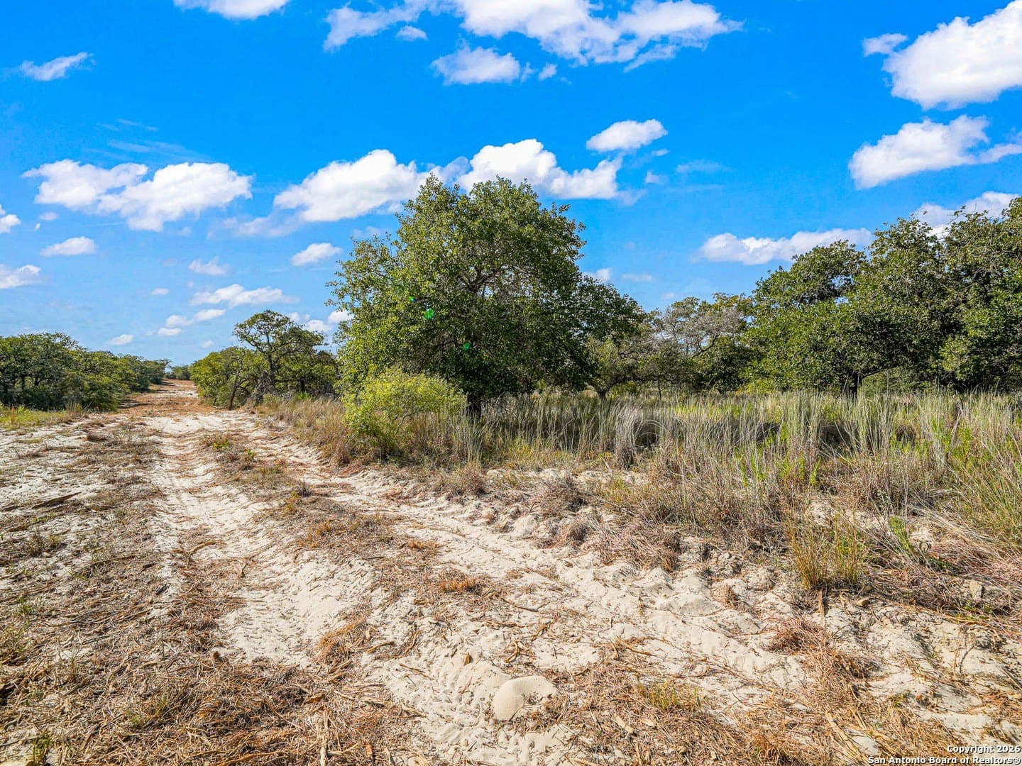 10.03 acres in Guadalupe County - photo 7