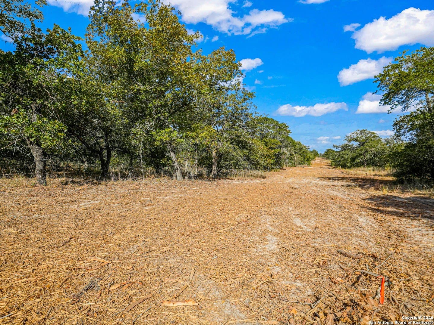 10.03 acres in Guadalupe County - photo 13