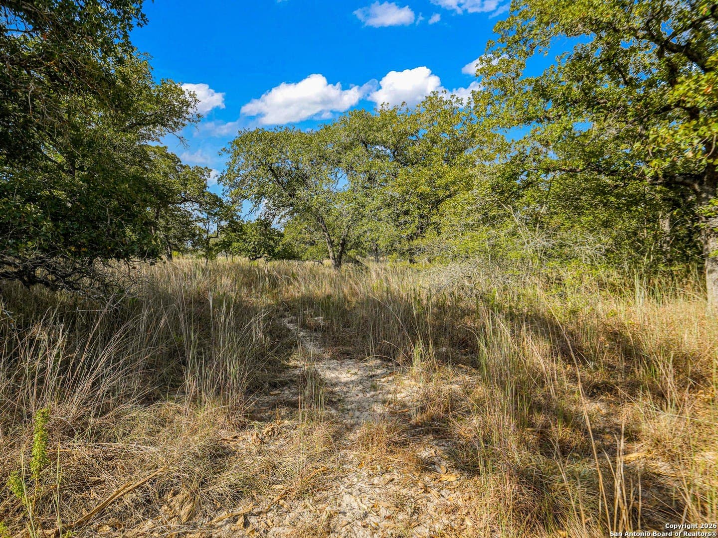 10.03 acres in Guadalupe County - photo 11