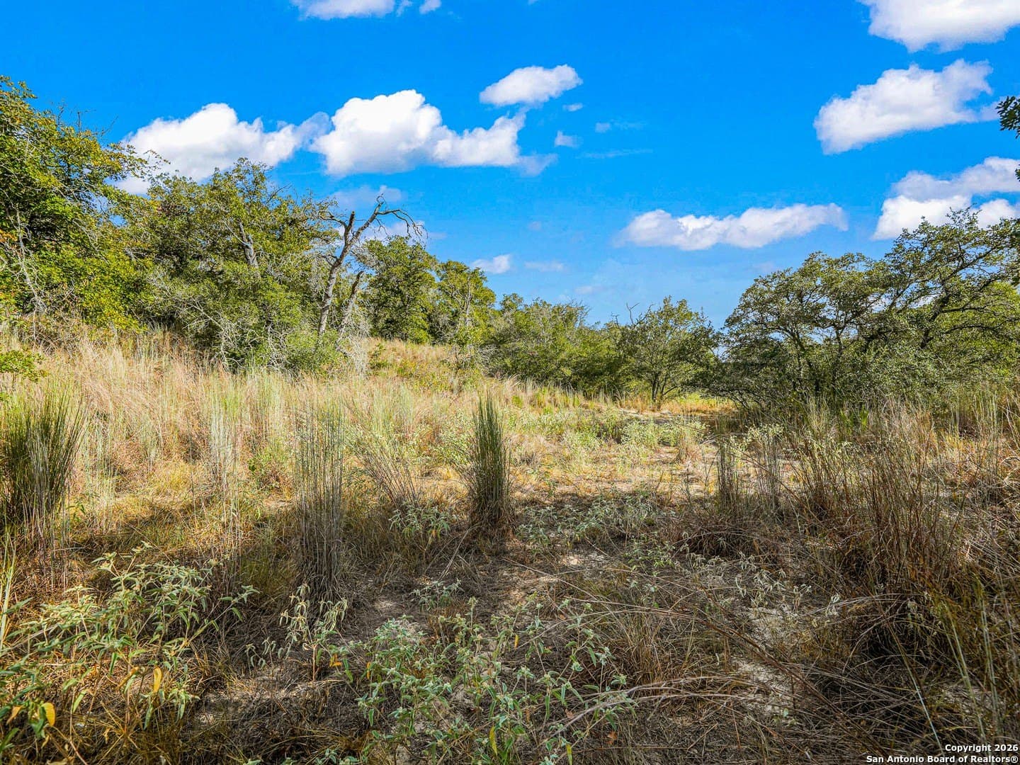 10.03 acres in Guadalupe County - photo 17