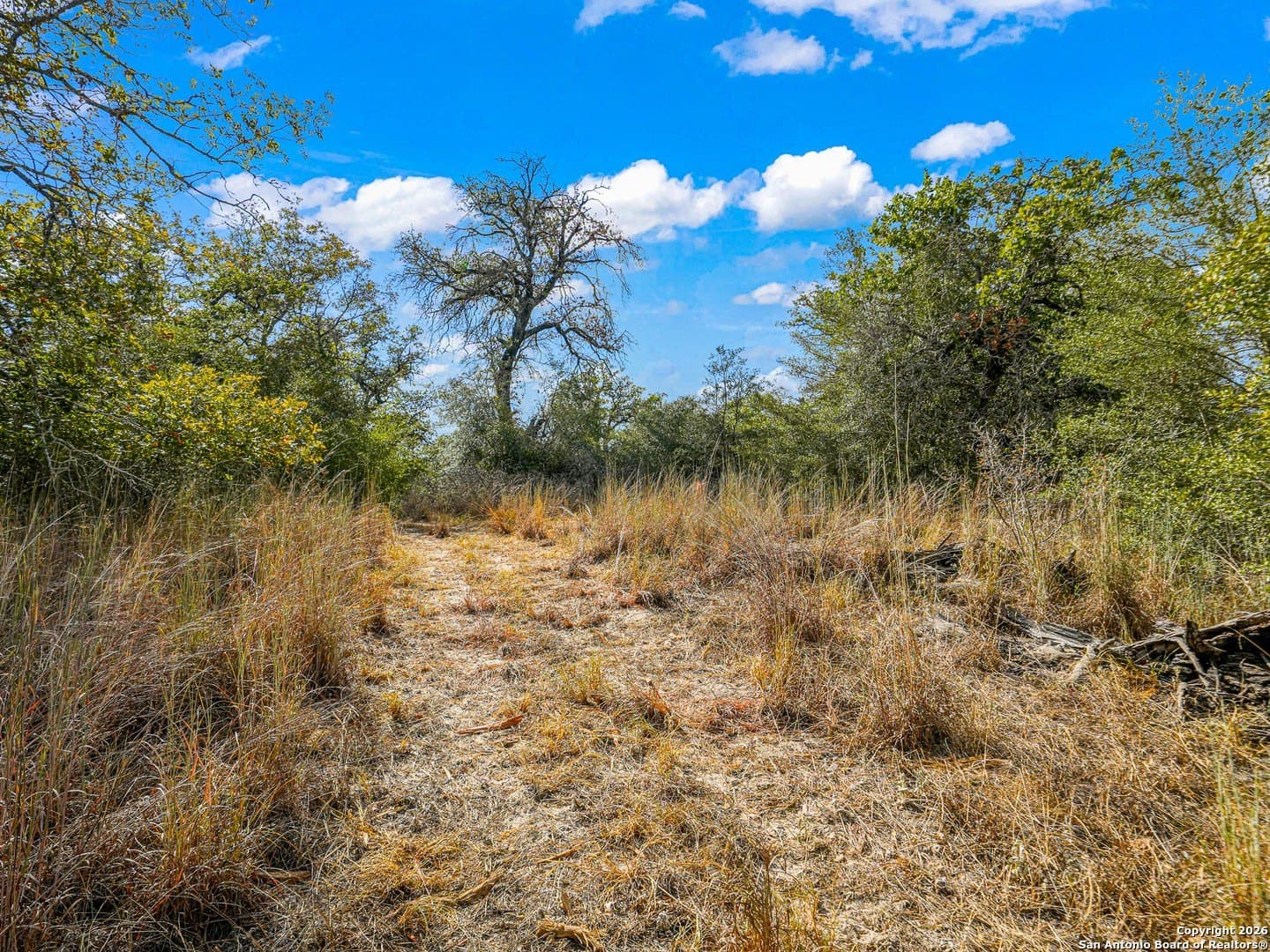 10.03 acres in Guadalupe County - photo 14