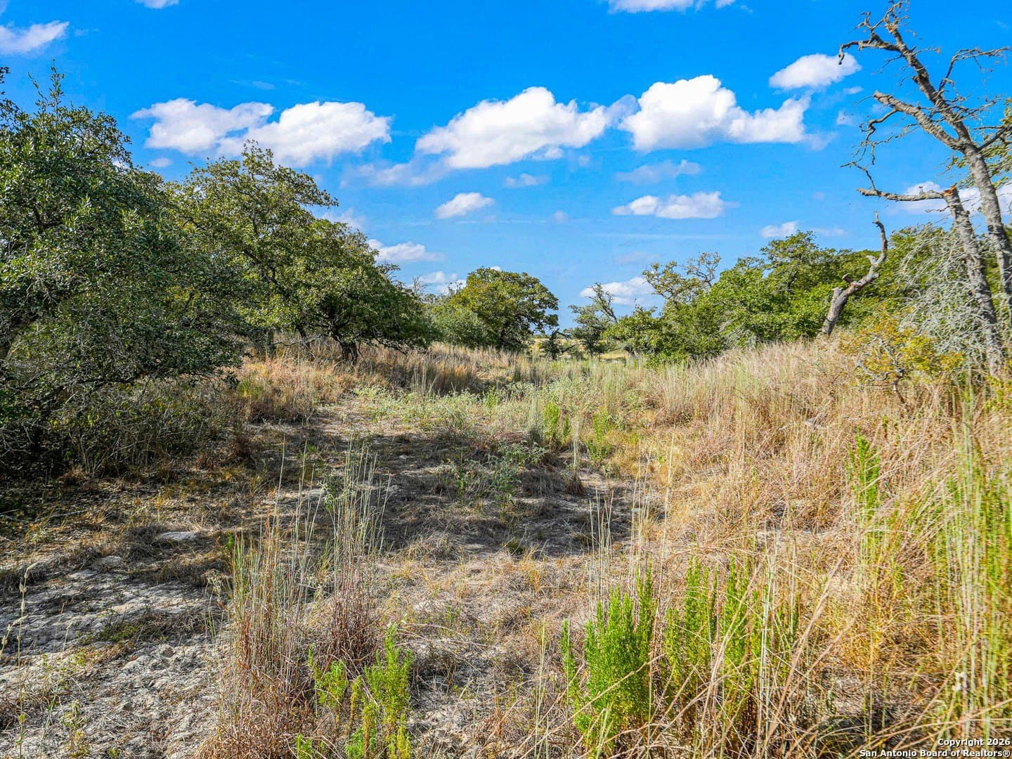 10.03 acres in Guadalupe County - photo 16