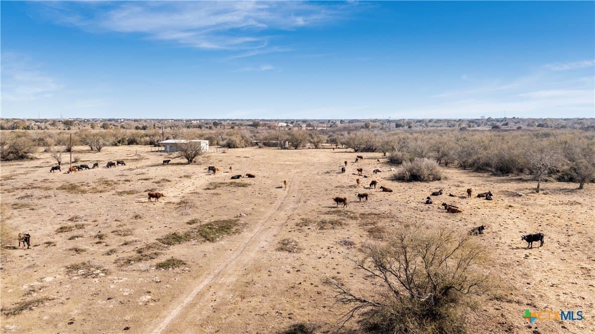 308 acres in Victoria County - photo 13