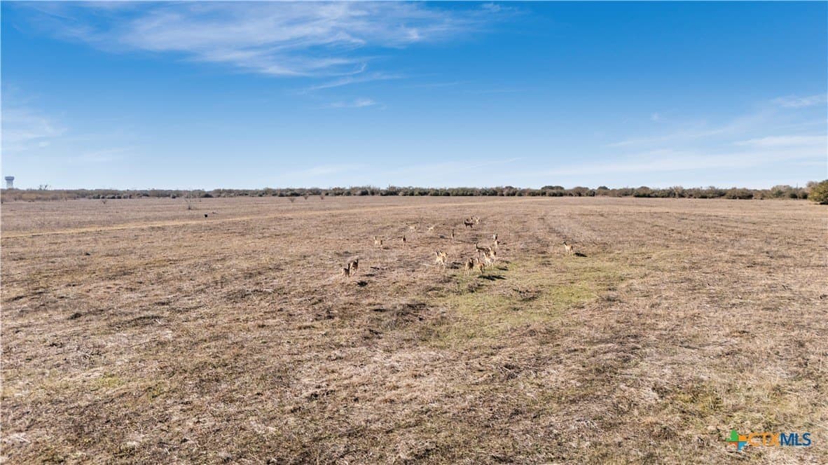 308 acres in Victoria County - photo 12