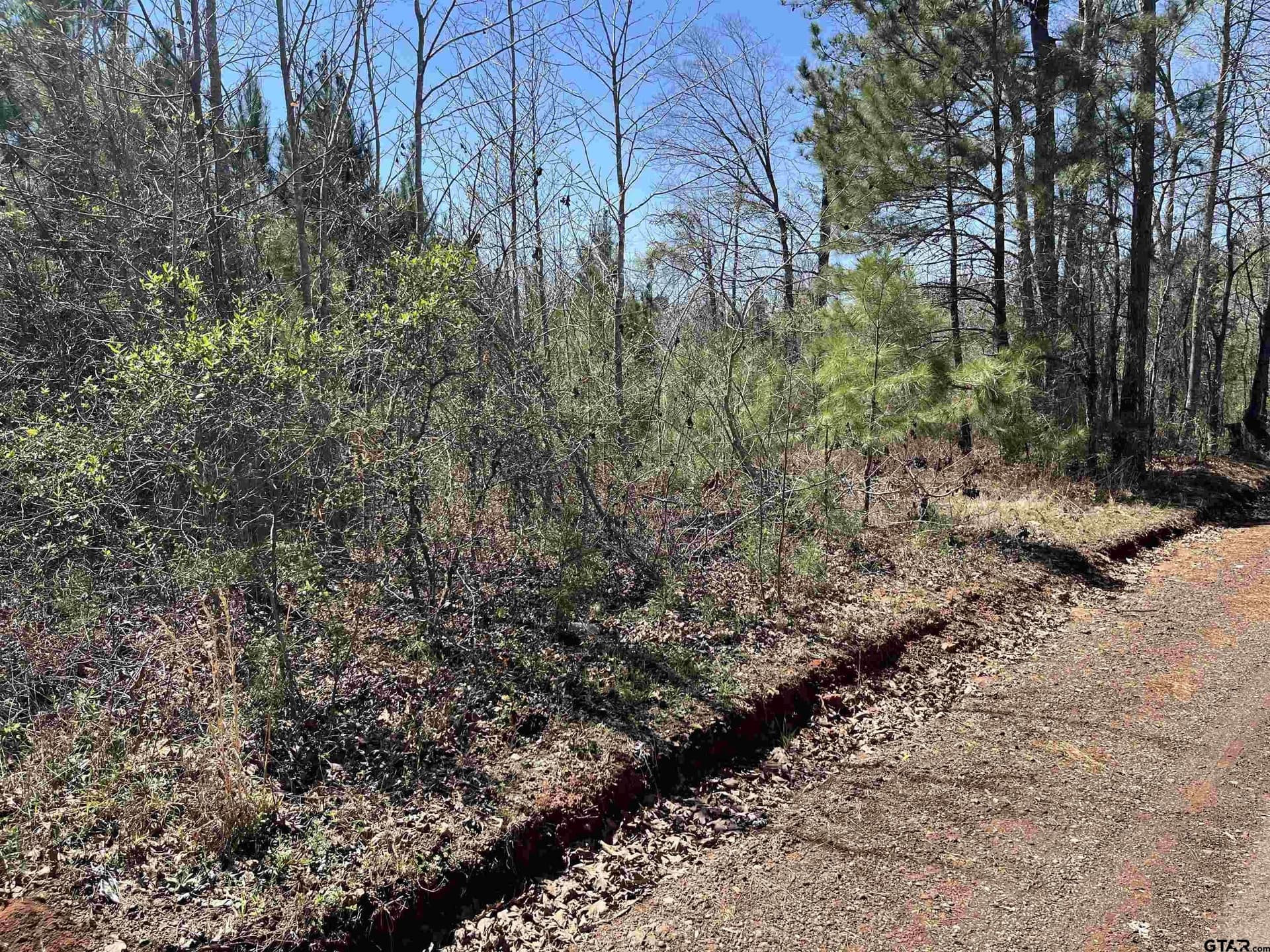 19.8 acres in Harrison County - photo 7