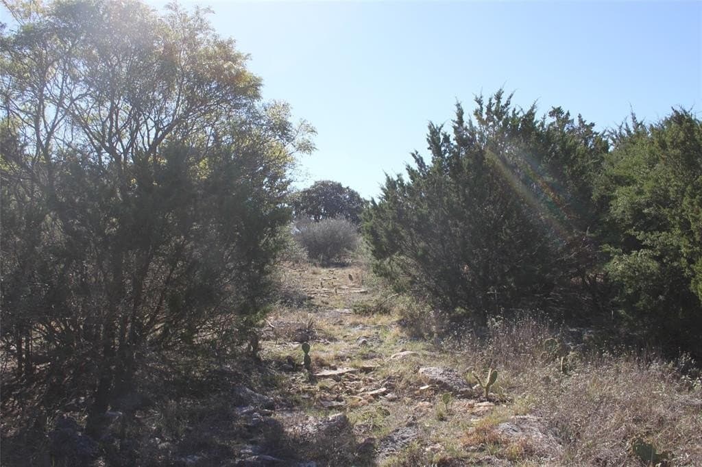 5 acres in San Saba County - photo 8
