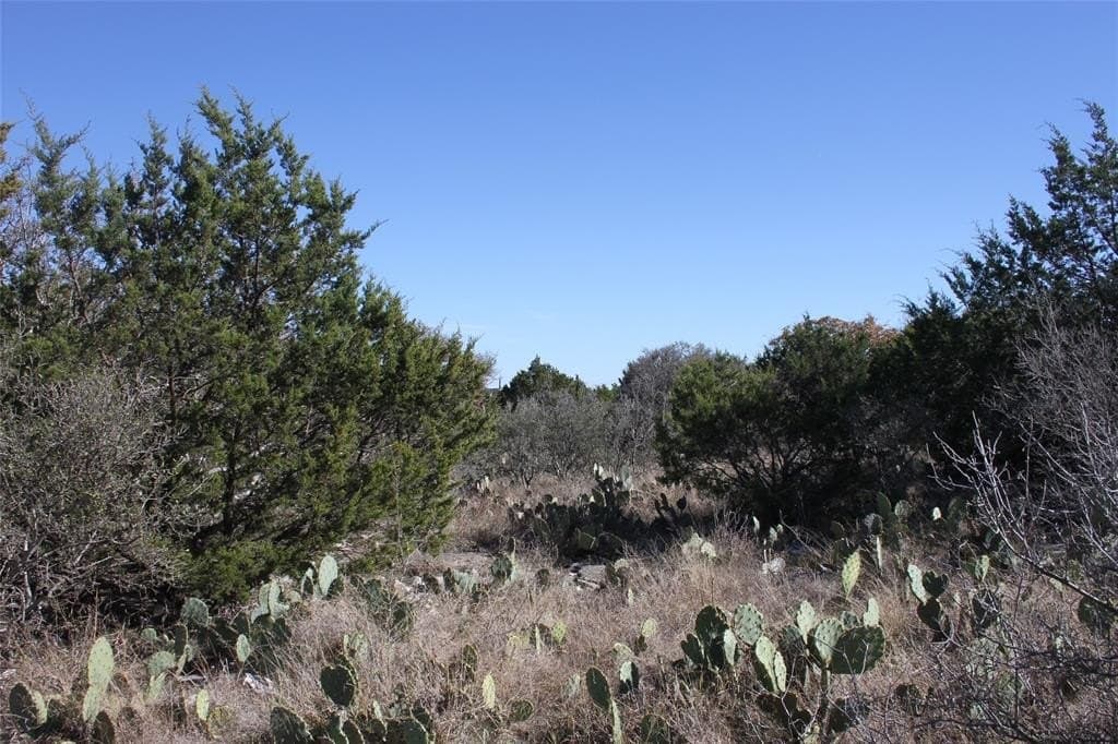 5 acres in San Saba County - photo 6