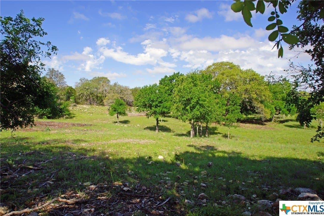 27.53 acres in Burnet County - photo 3