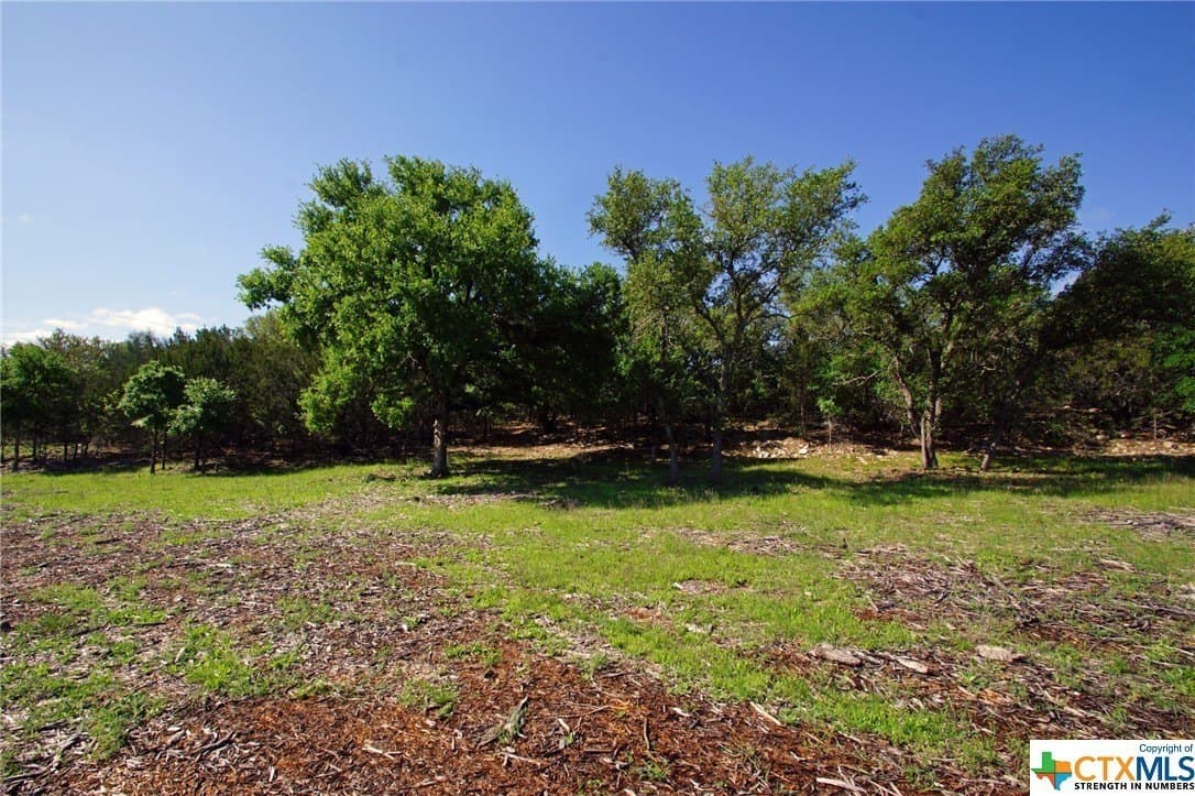 27.53 acres in Burnet County - photo 4