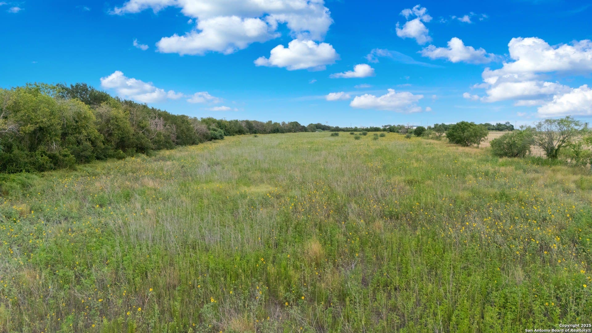 20.36 acres in Guadalupe County - photo 9