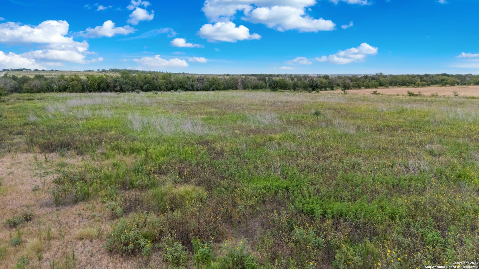 20.36 acres in Guadalupe County - photo 5