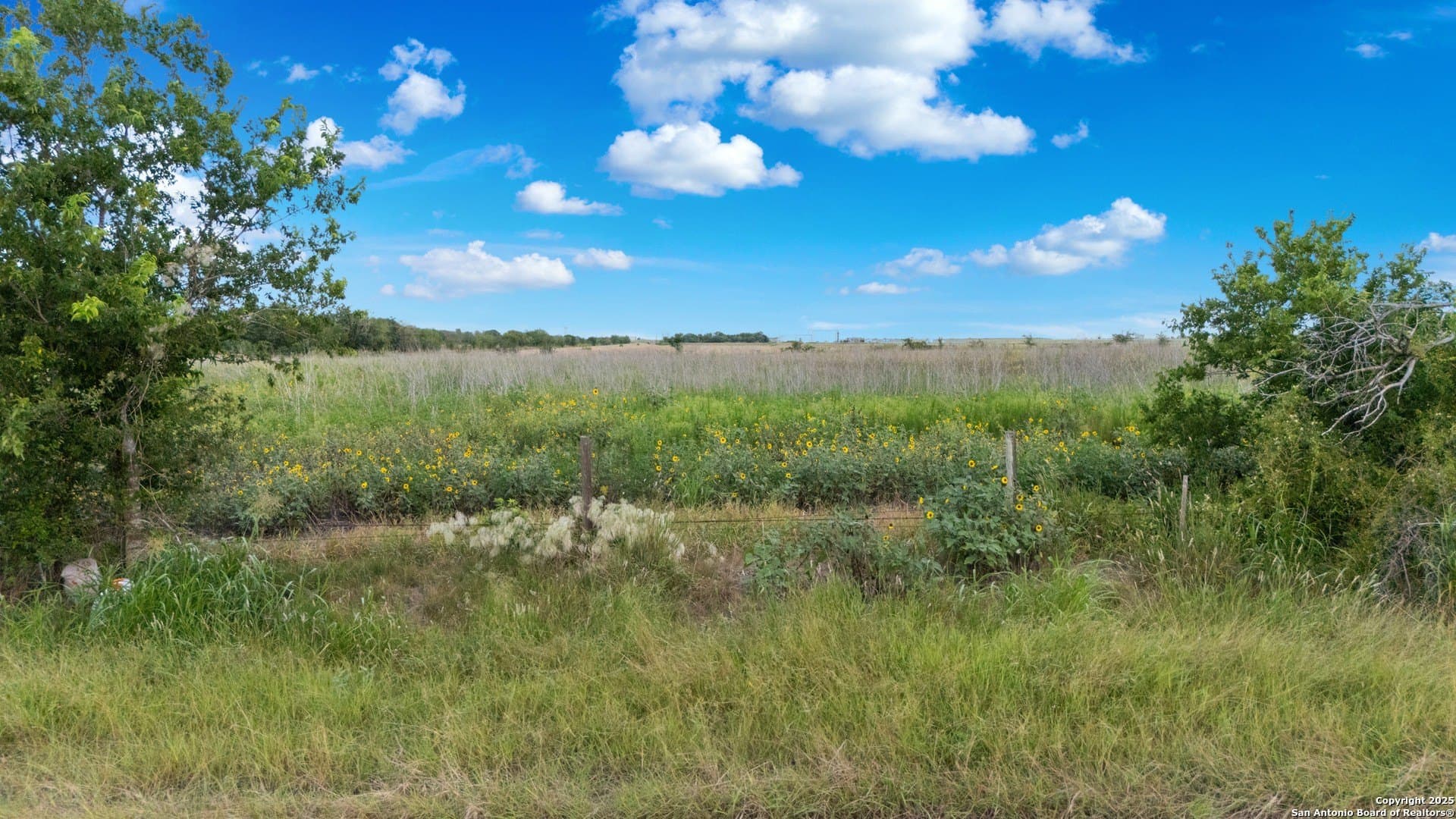 20.36 acres in Guadalupe County - photo 2