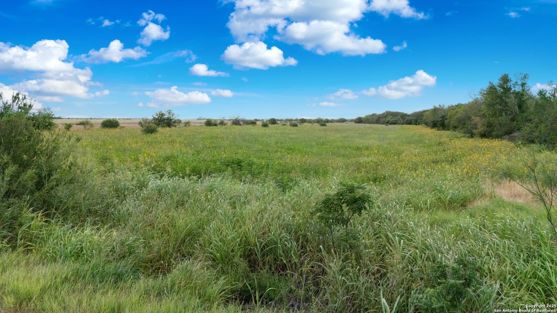 20.36 acres in Guadalupe County - photo 15