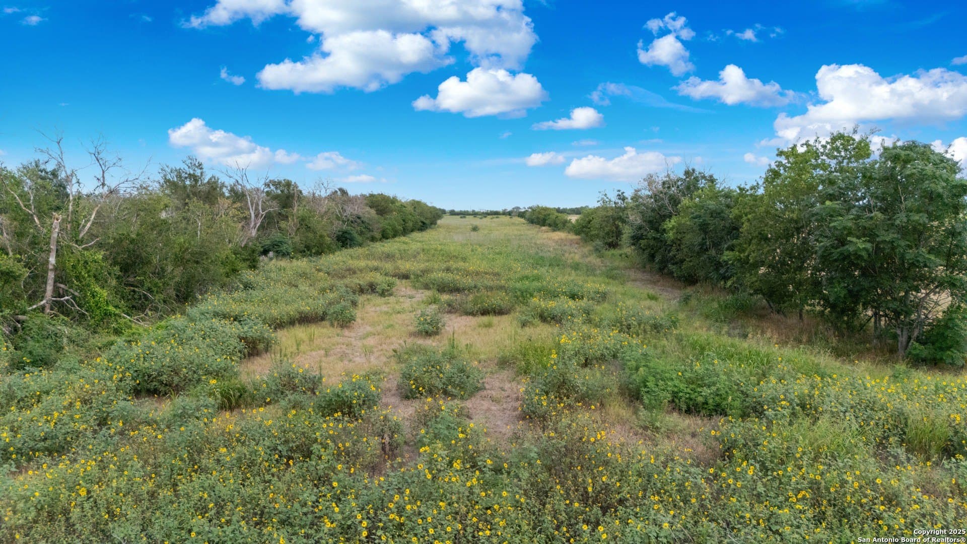 20.36 acres in Guadalupe County - photo 17