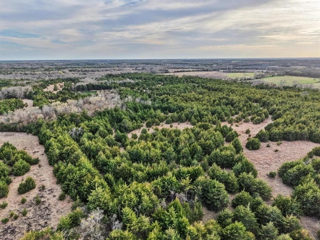 255.34 acres in Fannin County - photo 31