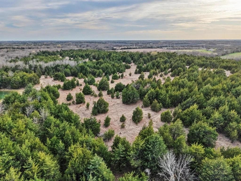 255.34 acres in Fannin County - photo 34
