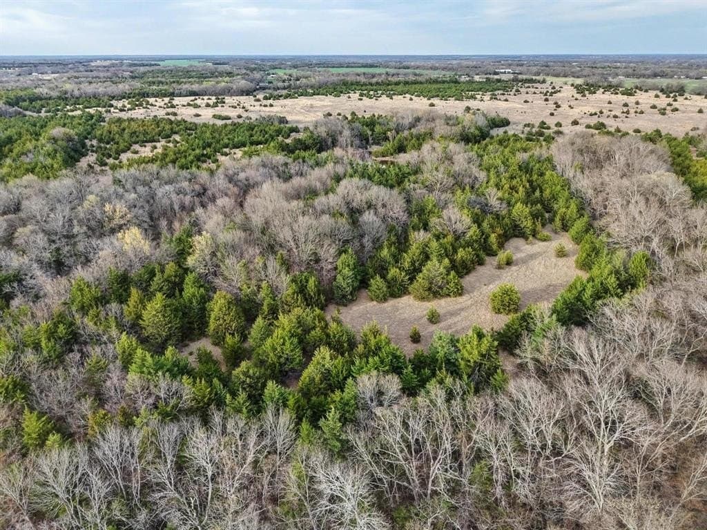 255.34 acres in Fannin County - photo 15