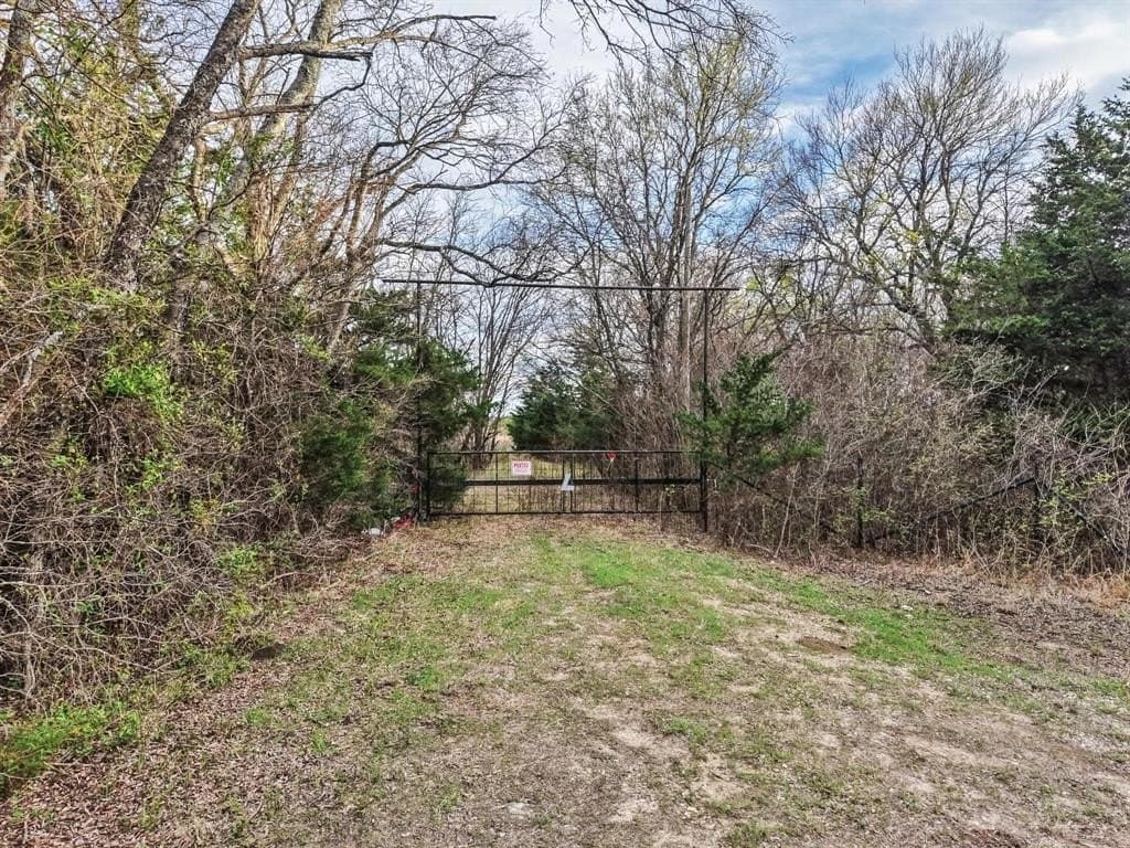 255.34 acres in Fannin County - photo 5