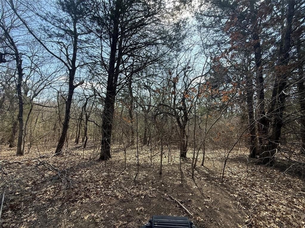 255.34 acres in Fannin County - photo 8
