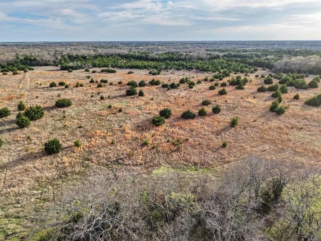 255.34 acres in Fannin County - photo 2