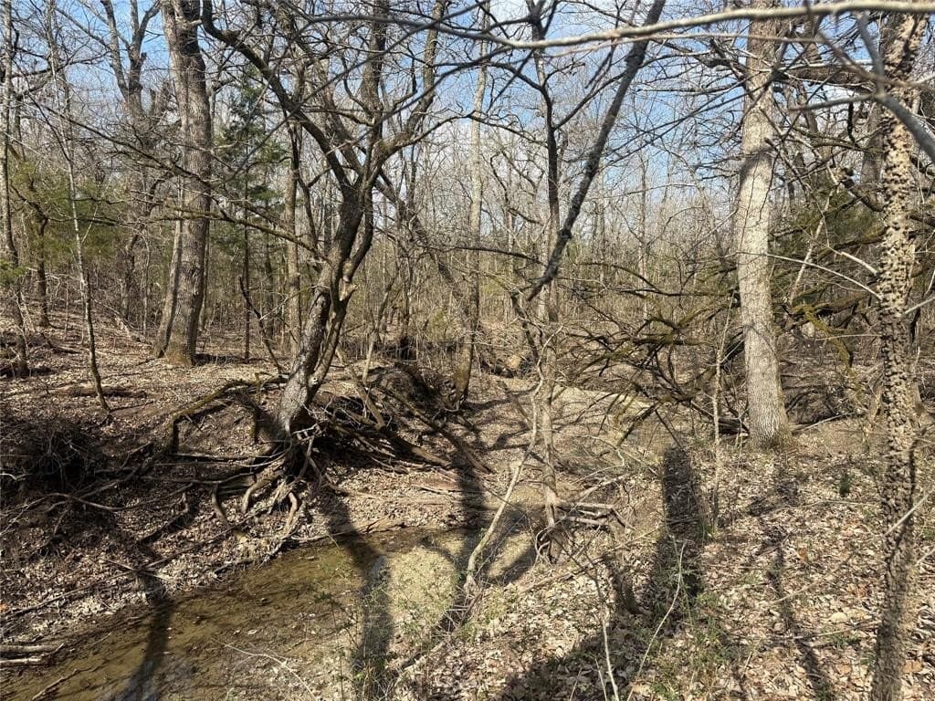 255.34 acres in Fannin County - photo 9