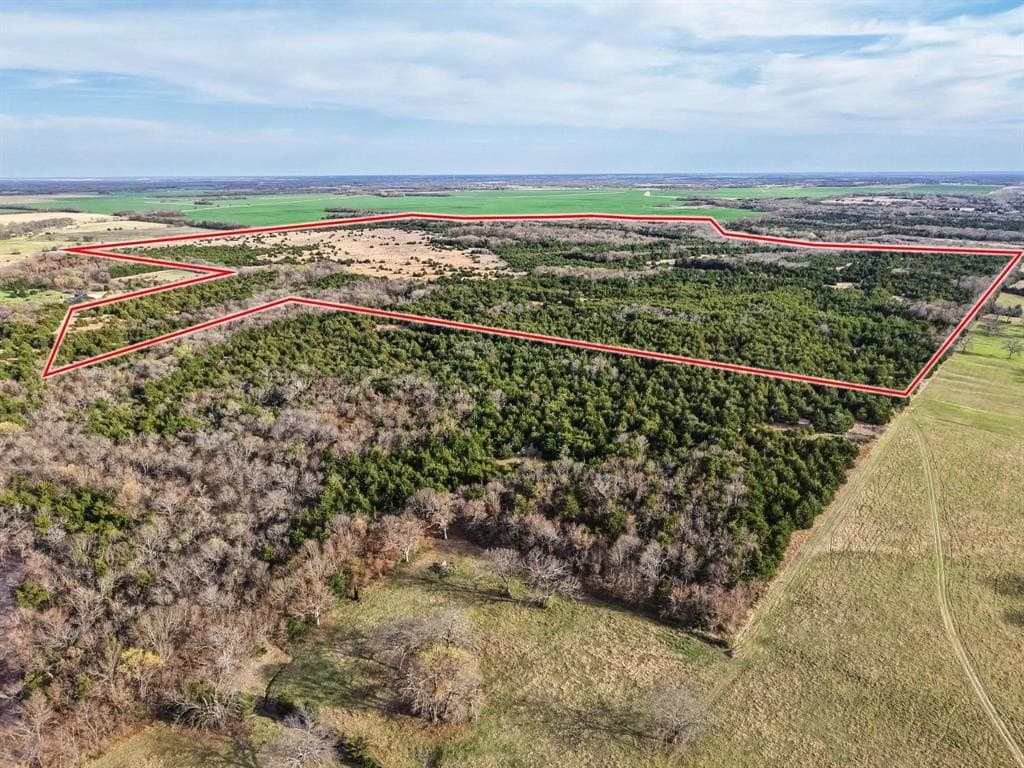 255.34 acres in Fannin County - photo 25