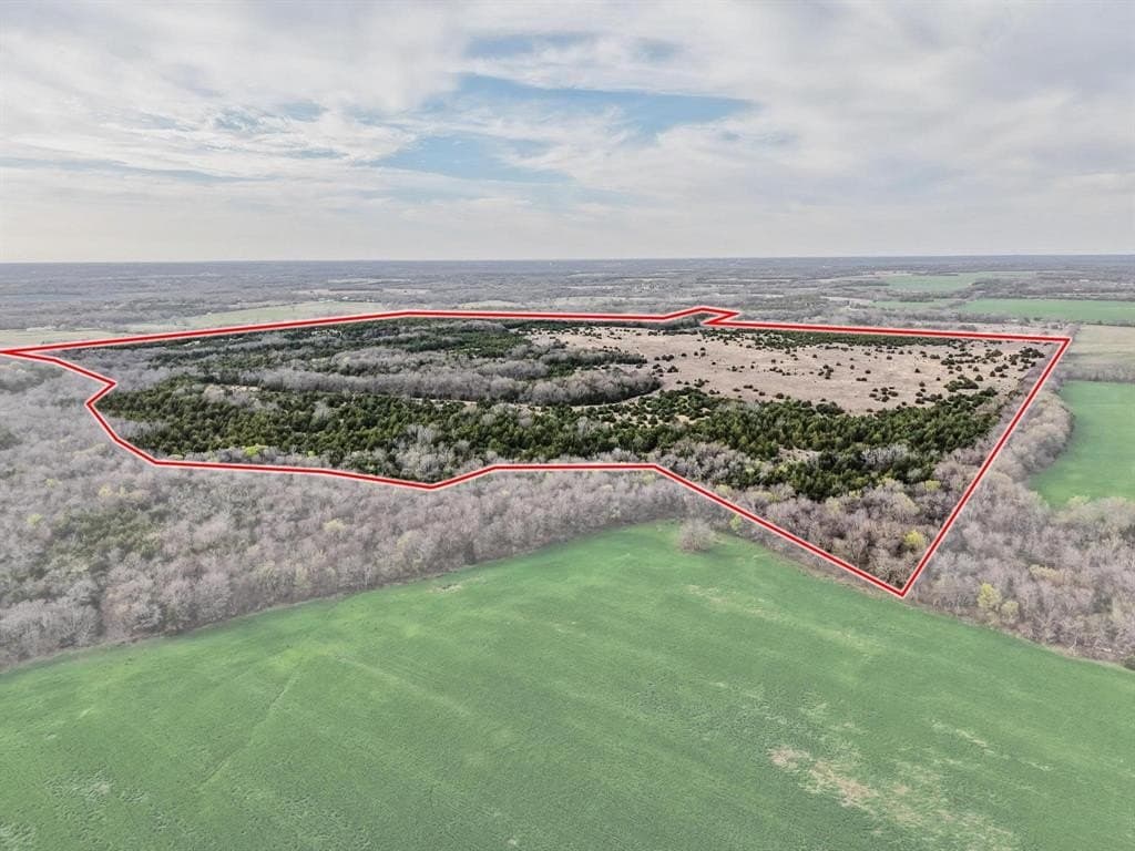 255.34 acres in Fannin County - photo 28