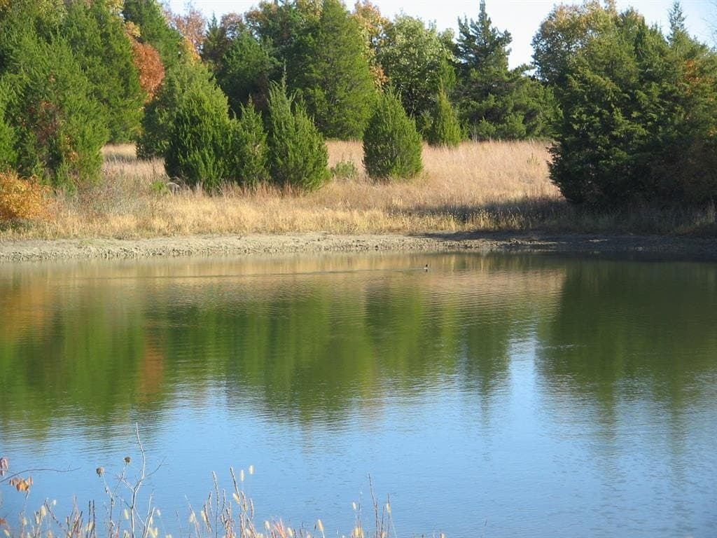 255.34 acres in Fannin County - photo 39