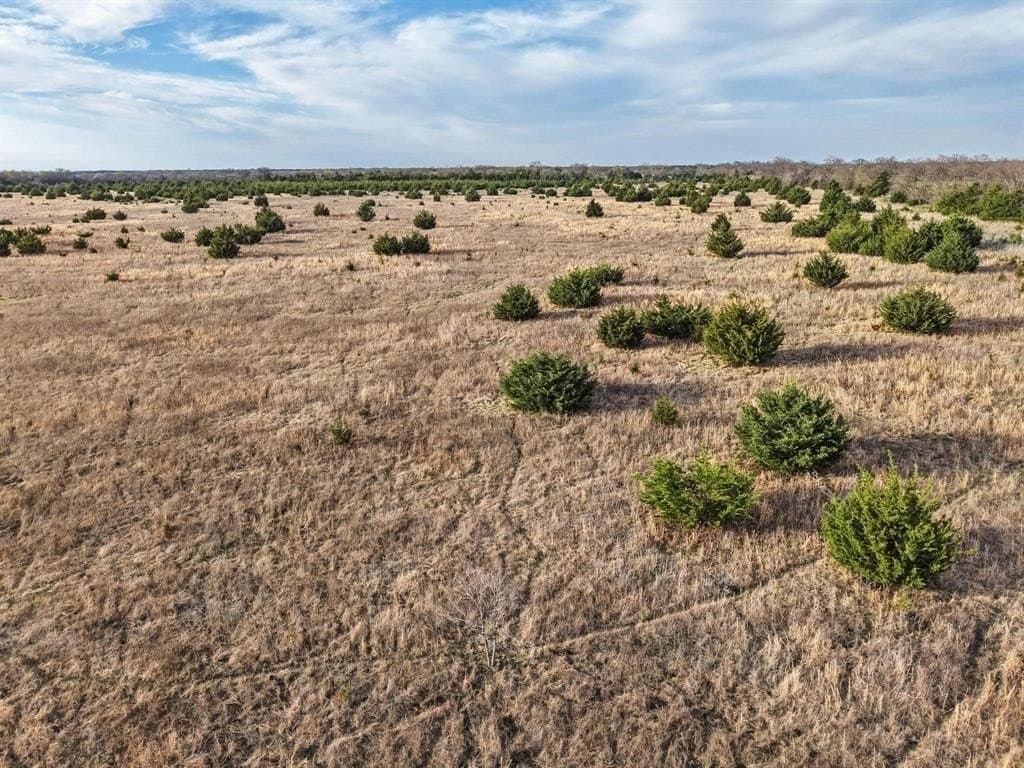 255.34 acres in Fannin County - photo 30