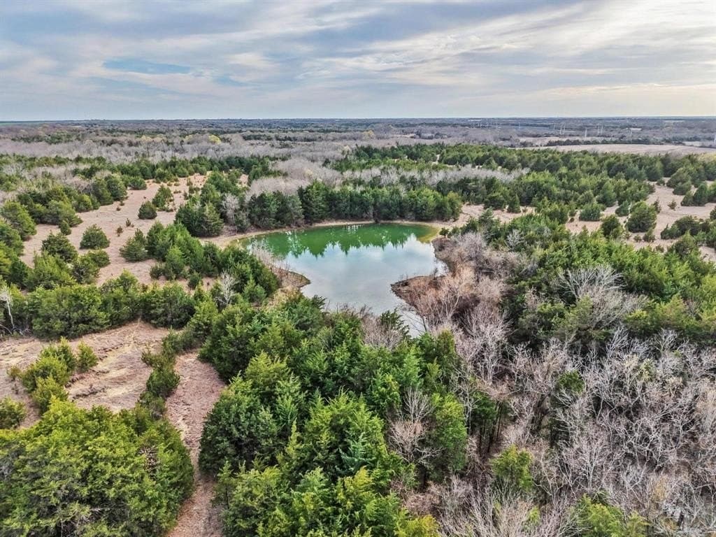 255.34 acres in Fannin County - photo 4