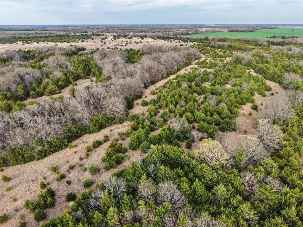 255.34 acres in Fannin County - photo 26