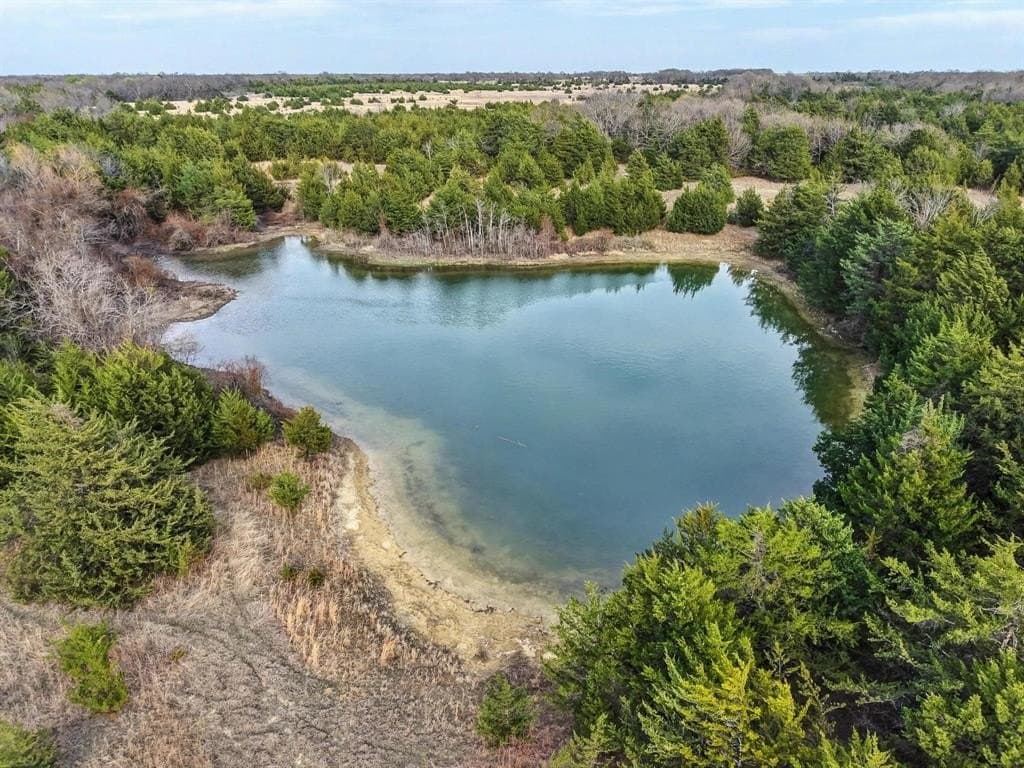 255.34 acres in Fannin County - photo 3