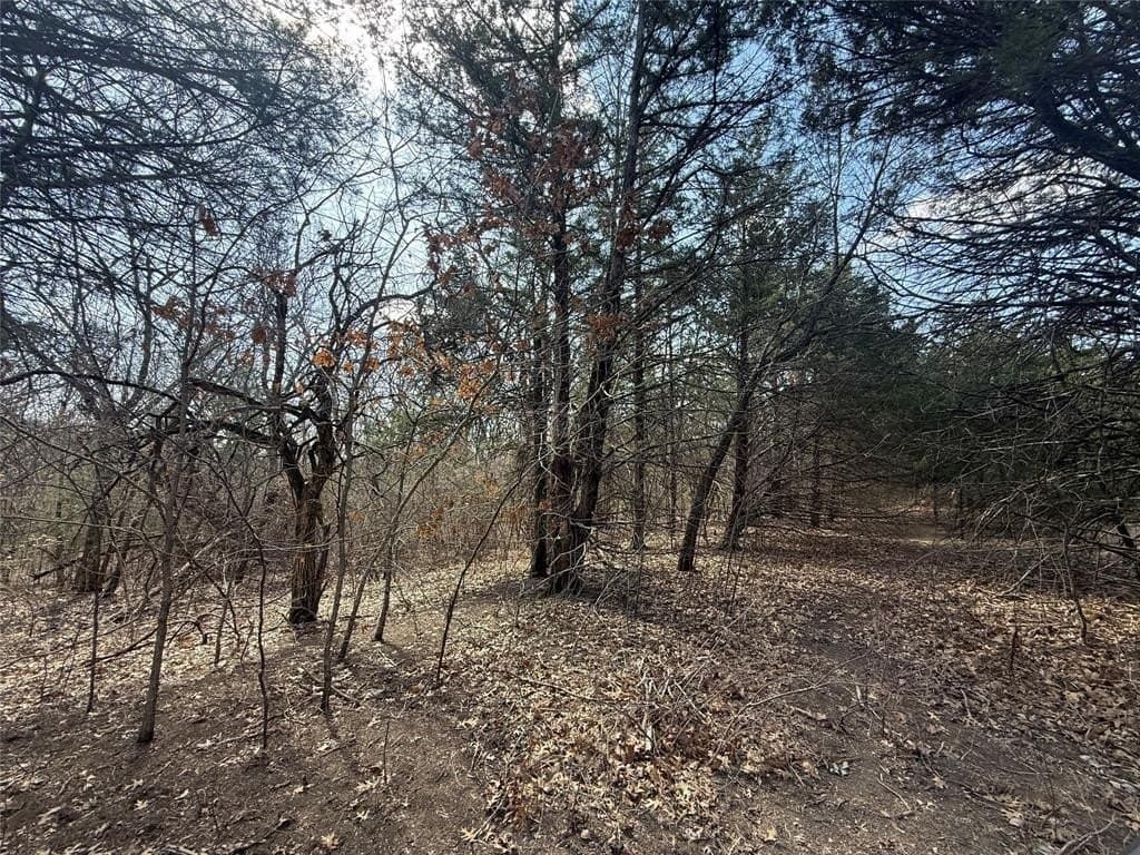 255.34 acres in Fannin County - photo 7