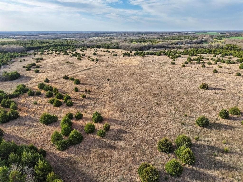 255.34 acres in Fannin County - photo 18