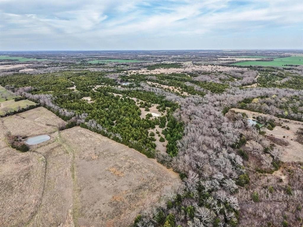 255.34 acres in Fannin County - photo 24