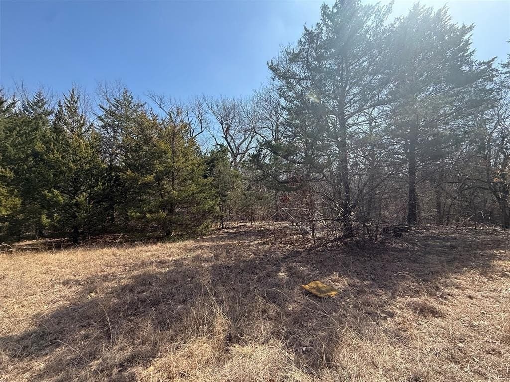 255.34 acres in Fannin County - photo 10